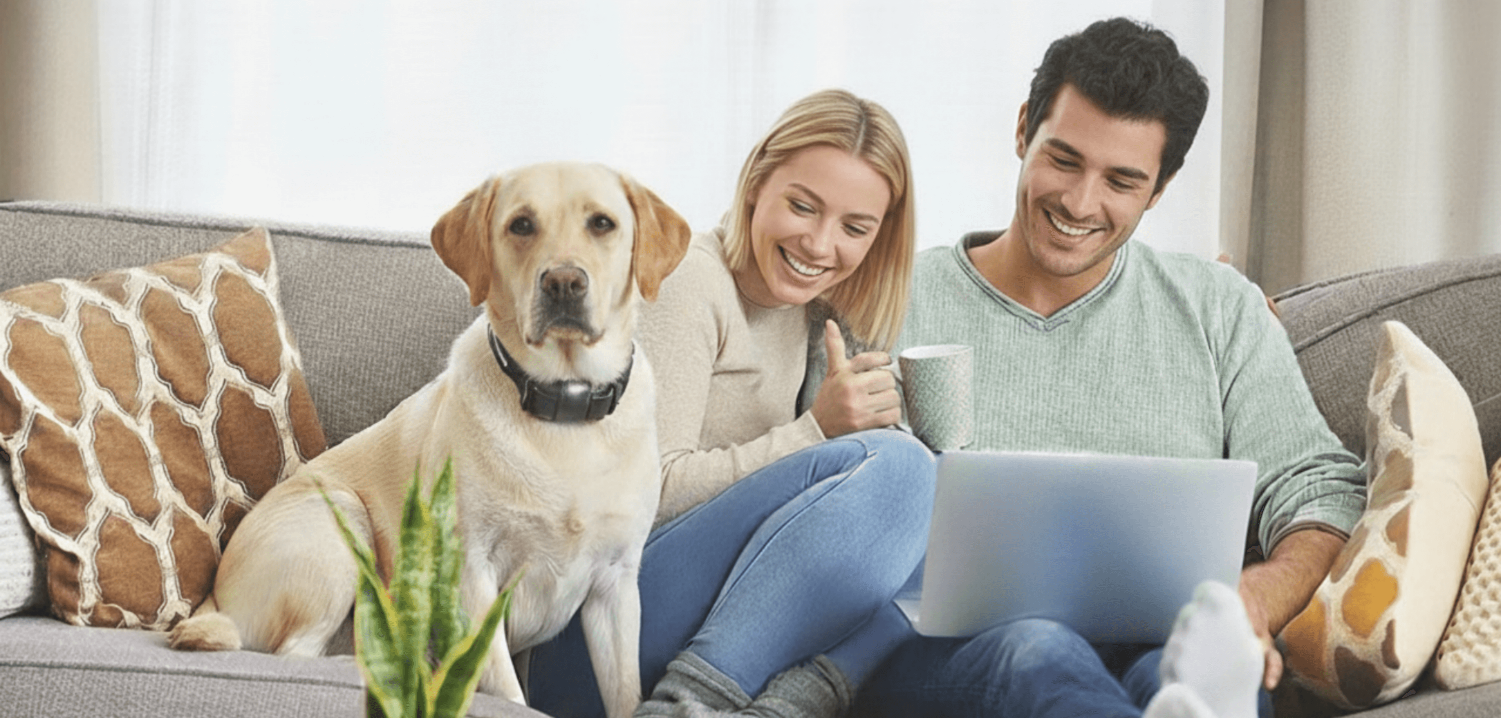 1-Mile Dog Training Collar: The Best Tool for Off-Leash Obedience (2026 Guide)