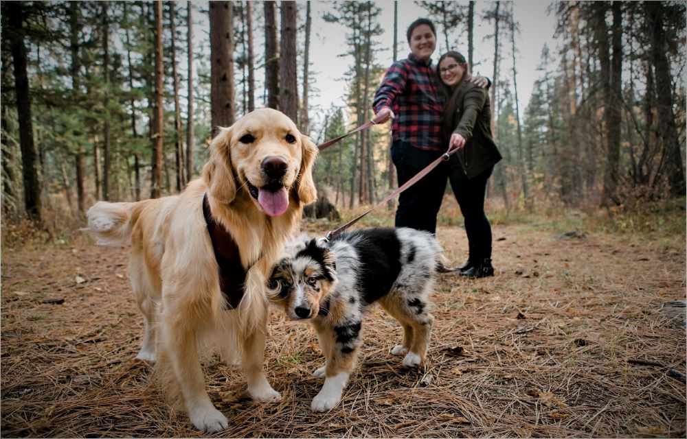 5 Easy Dog Tricks to Teach Your Puppy This Weekend