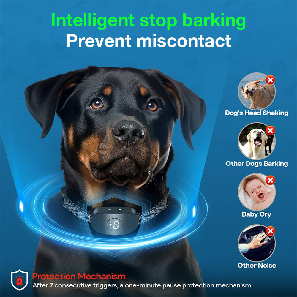 Intelligent Bark Recognition: Prevents false triggers from other dogs, baby cries, or background noise