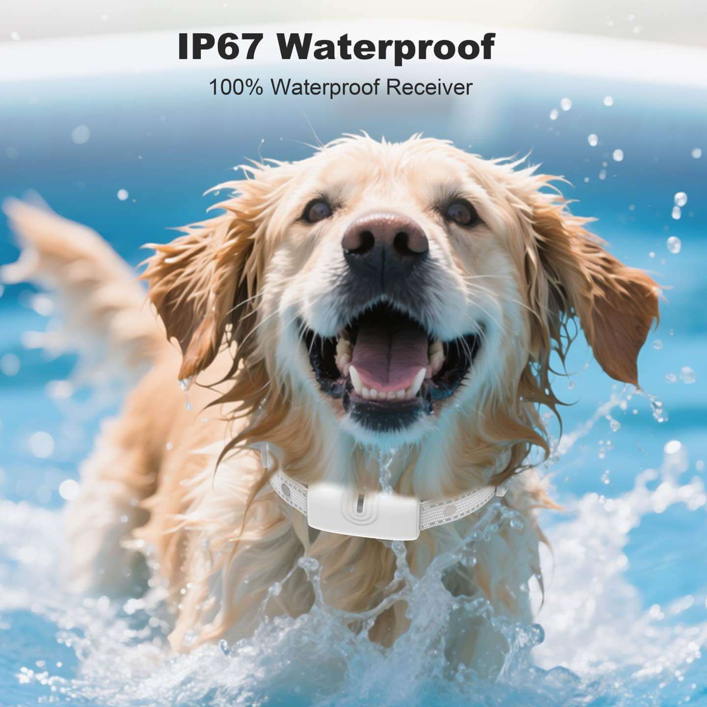 IP67 Waterproof: Receiver collar works safely while swimming, bathing, or in the rain